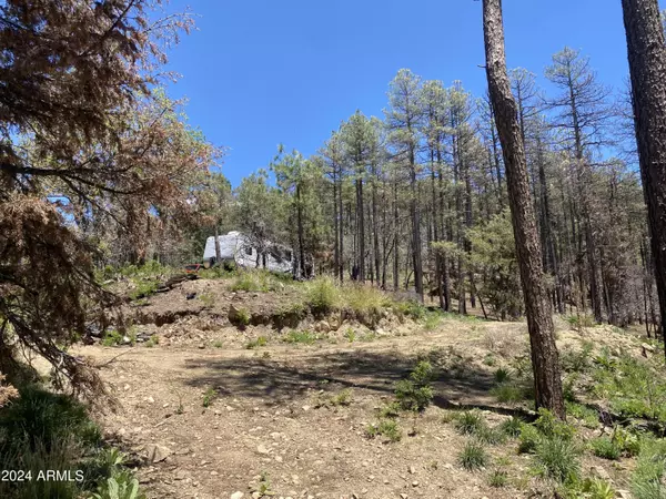 Prescott, AZ 86303,1002 S turkey trot Trail #-