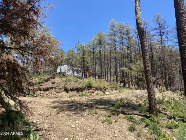 Prescott, AZ 86303,1002 S turkey trot Trail #-