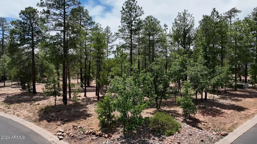 4981 SILVER MOUNTAIN Drive #99, Lakeside, AZ 85929