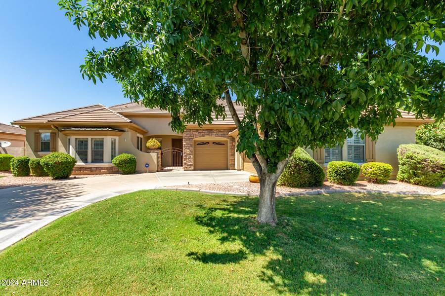 2996 E COTTON Lane, Gilbert, AZ 85234