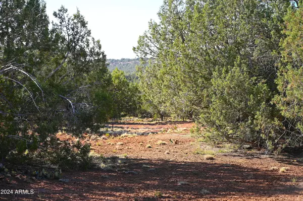 Seligman, AZ 86337,30875 W OAK Drive #346