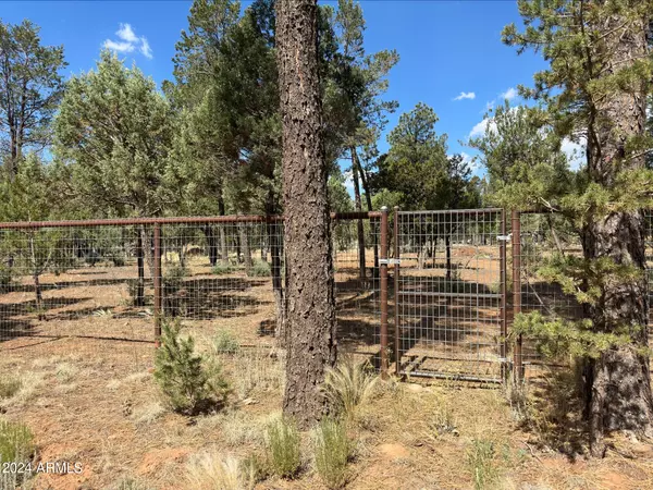 Overgaard, AZ 85933,2864 DEER Trail #40