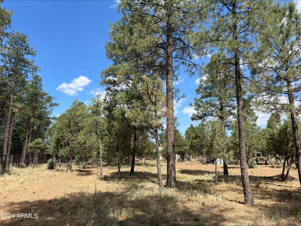 Overgaard, AZ 85933,2864 DEER Trail #40