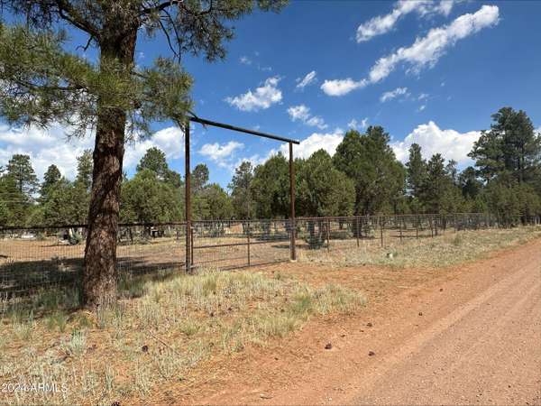 2864 DEER Trail #40,  Overgaard,  AZ 85933