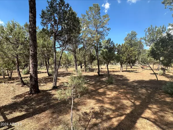 Overgaard, AZ 85933,2864 DEER Trail #40