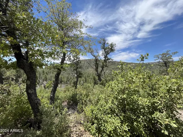 Crown King, AZ 86343,21 S Summer Homes Drive