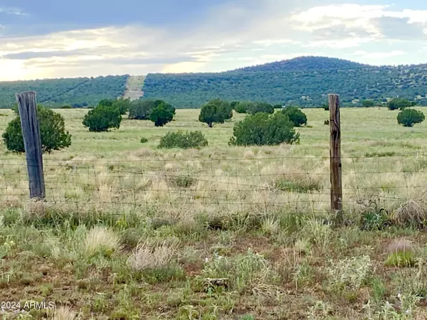 Ash Fork, AZ 86320,Yucca Trail 20.2 Acres -- #180