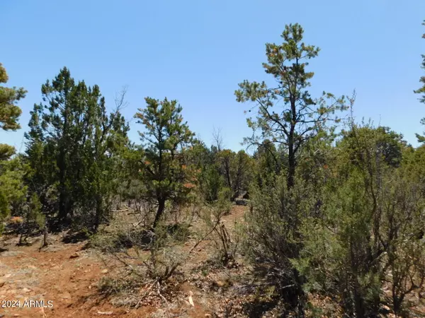 Happy Jack, AZ 86024,3517 SUNSET RIDGE Loop #163