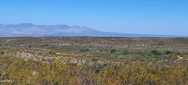 Tombstone, AZ 85638,W Rainbow Road #22