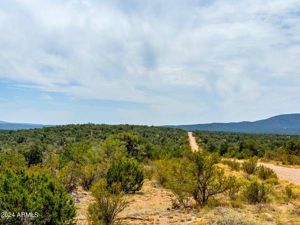 Seligman, AZ 86337,Waterloo Way -- #-