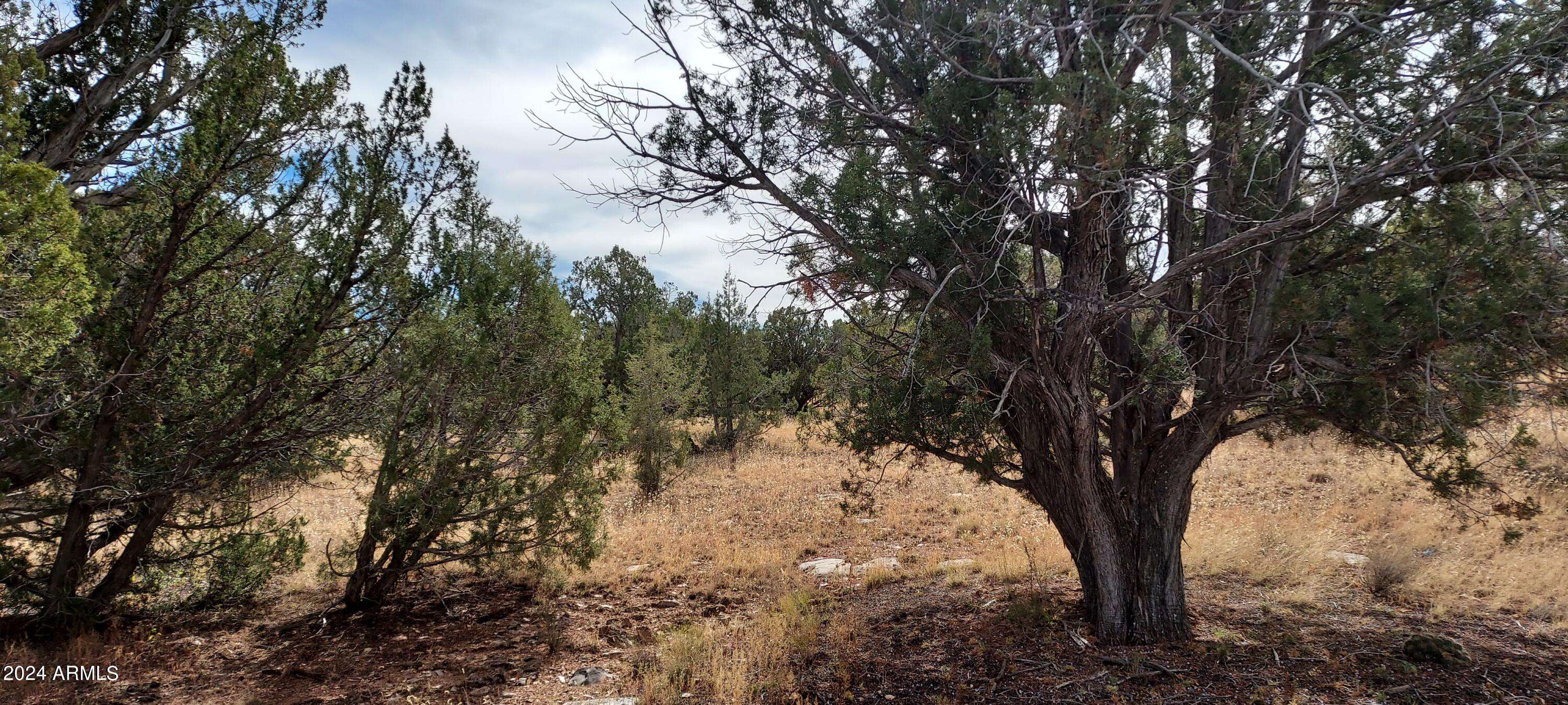 Seligman, AZ 86337,32399 Avenida Bailar Lot 2973 -- W #2973