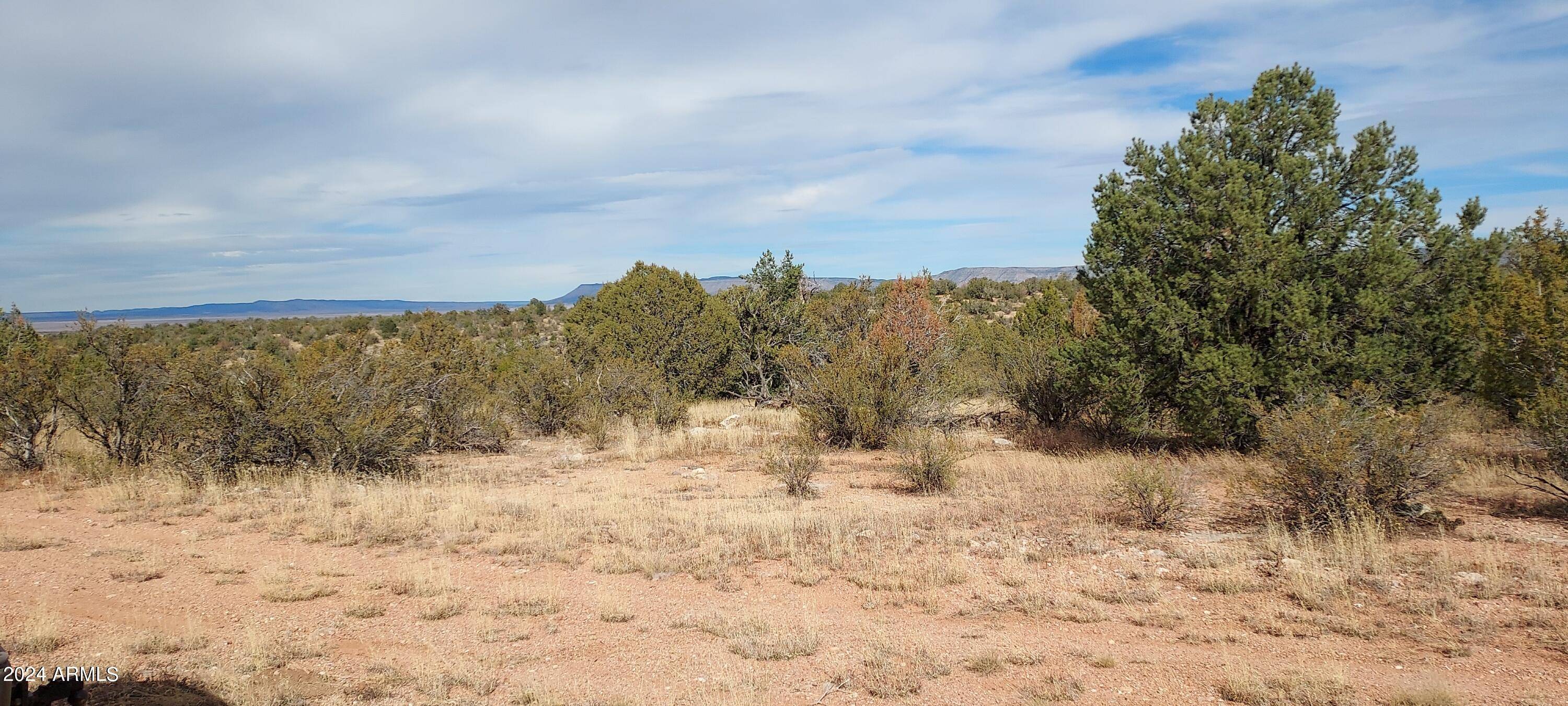 Seligman, AZ 86337,32399 Avenida Bailar Lot 2973 -- W #2973