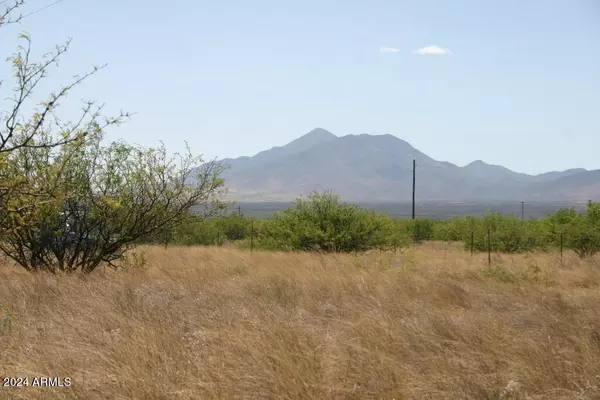 Hereford, AZ 85615,1 E Mustang Trail #1