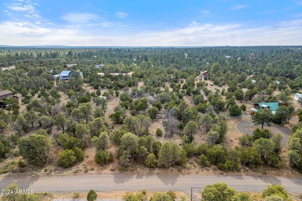 3356 APACHE Drive #146,  Overgaard,  AZ 85933