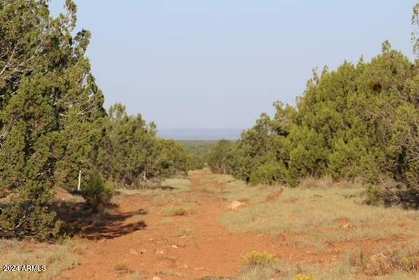 Show Low, AZ 85902,0 Shady Oak Road #-