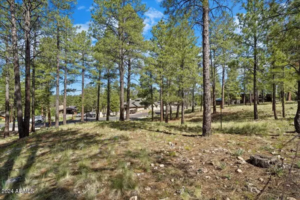 Flagstaff, AZ 86005,2531 E DEL RAE Drive #189