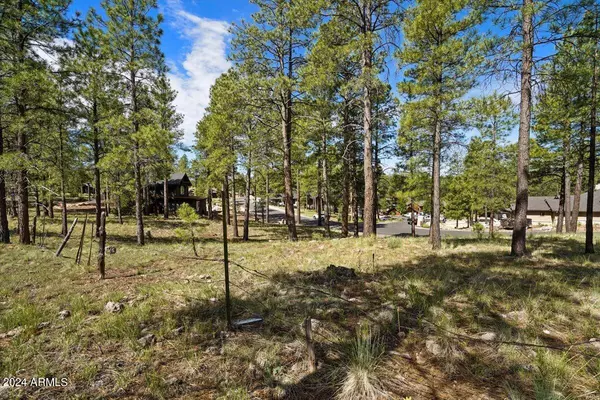 Flagstaff, AZ 86005,2531 E DEL RAE Drive #189