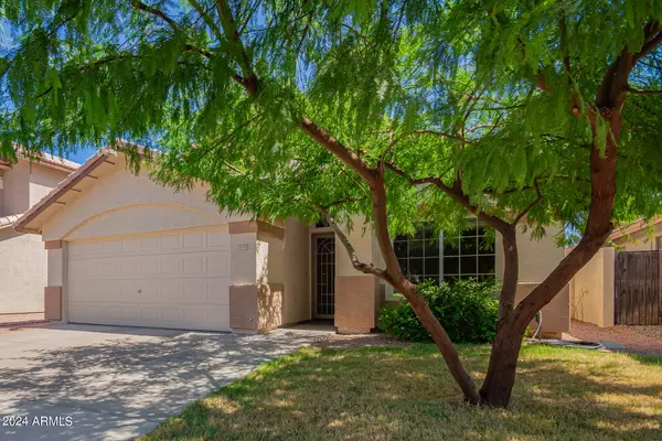 Chandler, AZ 85225,1373 E Constitution Drive