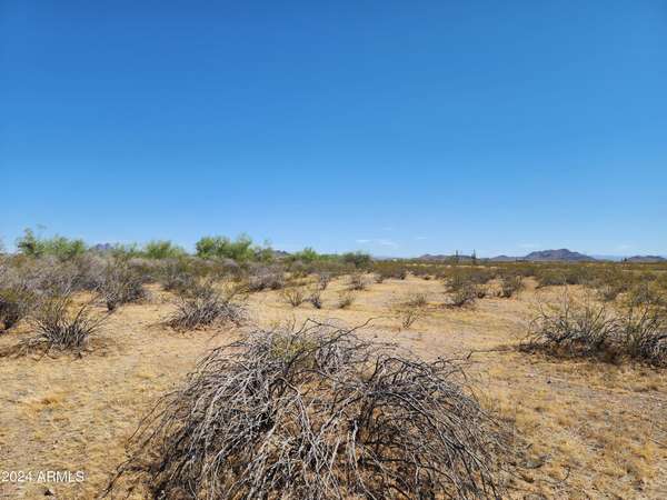 Wittmann, AZ 85361,0 W Lone Mountain Road #125