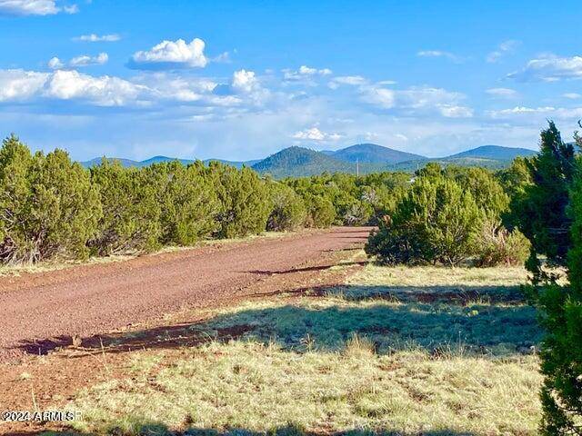 Vernon, AZ 85940,8 Co Rd 3198 -- #-