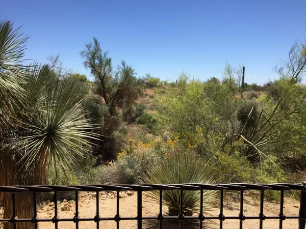 Carefree, AZ 85377,36601 N Mule Train Road #29 B