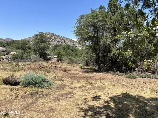 Yarnell, AZ 85362,22400 S CHERRY Lane