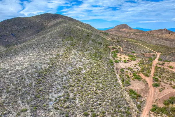 Tombstone, AZ 85638,E Emerald Canyon Rd Road #10928001