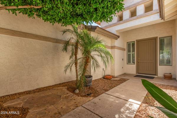 Chandler, AZ 85286,675 W Longhorn Drive