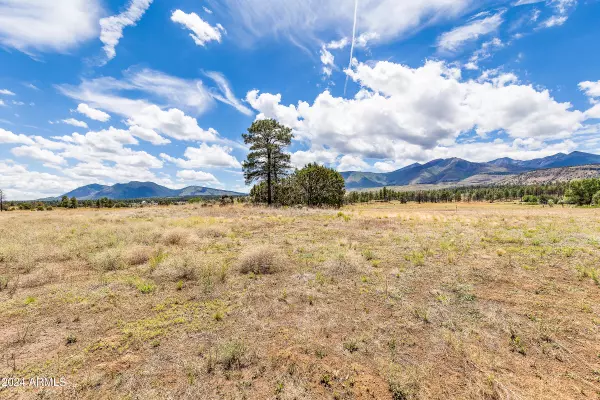 Flagstaff, AZ 86004,5464 E Pumpkin Patch Road #-