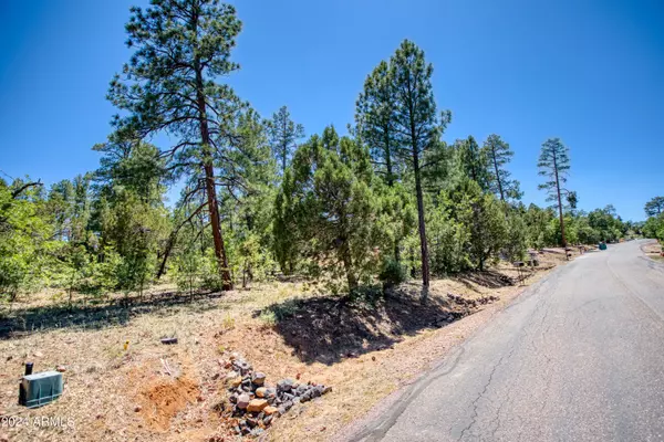 Show Low, AZ 85901,3061 W SAGE Lane #199