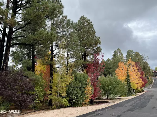 Pinetop, AZ 85935,380 E IRIS Lane