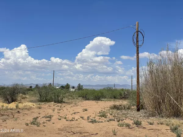 Pearce, AZ 85625,9048 E UNCLE CURTIS Lane #-