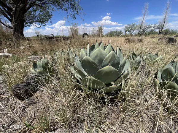 Pearce, AZ 85625,9048 E UNCLE CURTIS Lane #-
