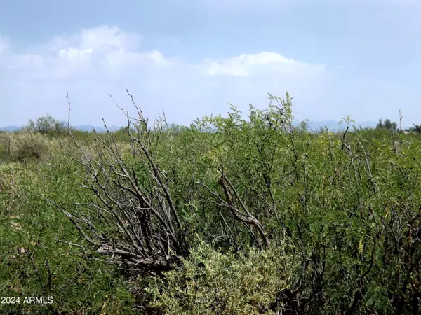 Mcneal, AZ 85617,W Double Adobe Road #-