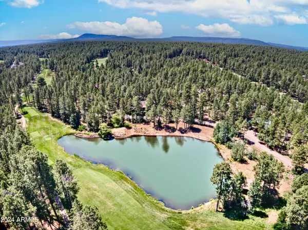 Pinetop, AZ 85935,3272 BULL FROG Loop