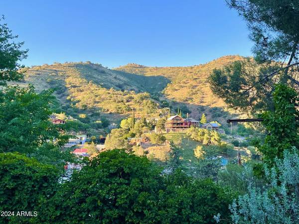 Bisbee, AZ 85603,441 ROBERTS Avenue