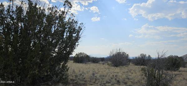 Flagstaff, AZ 86004,17 Walking Cane Ranch Road #-