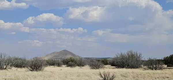 Flagstaff, AZ 86004,17 Walking Cane Ranch Road #-