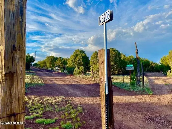 Vernon, AZ 85940,0 N3208 Lot C 9.81 Acres -- #C