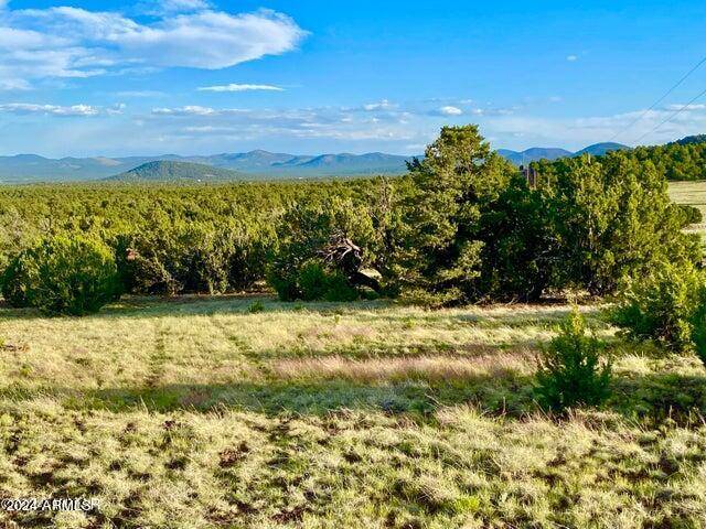 Vernon, AZ 85940,0 N3208 Lot D 9.81 Acres -- #D