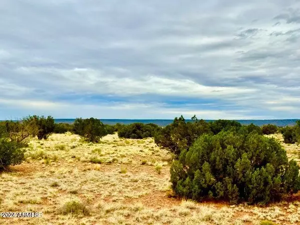 St Johns, AZ 85936,Springs Ranch Unit 1 Lot 17 -- #-