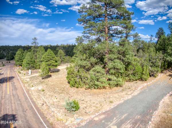 Heber, AZ 85928,3367 N STONE BRIDGE Trail #45