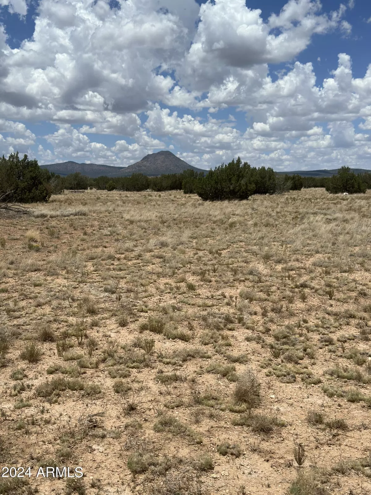 Ash Fork, AZ 86320,118 Prairie Dog Road #118D
