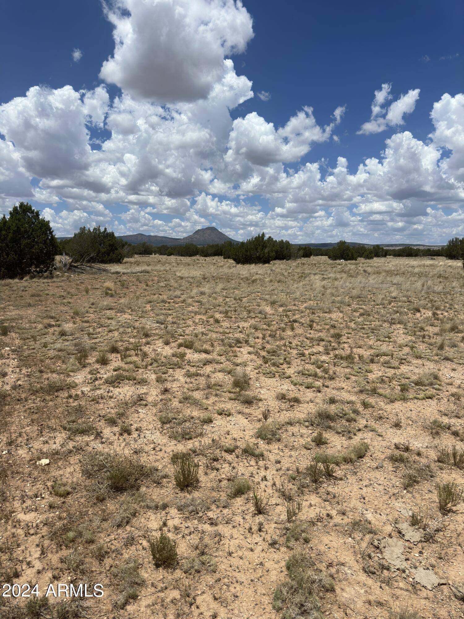 Ash Fork, AZ 86320,118 Prairie Dog Road #118D