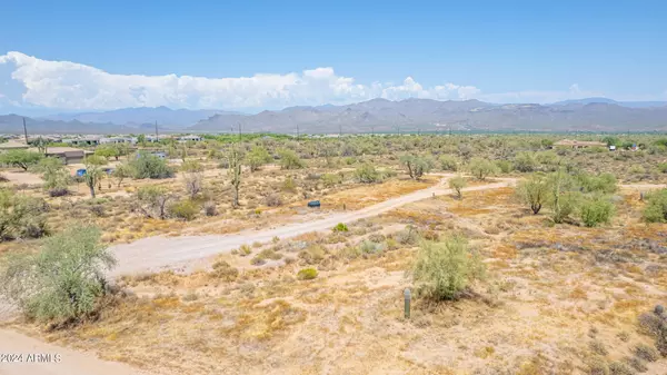 27909 N 172ND Street #_ Rio Verde, AZ 85263