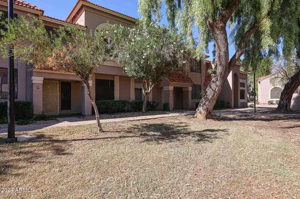 Chandler, AZ 85226,500 N ROOSEVELT Avenue #98