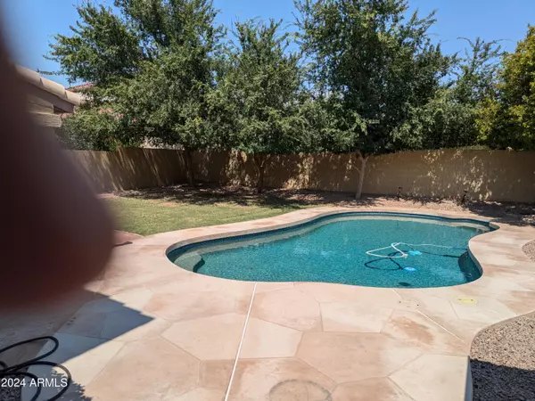 Chandler, AZ 85224,371 S CHIPPEWA Drive