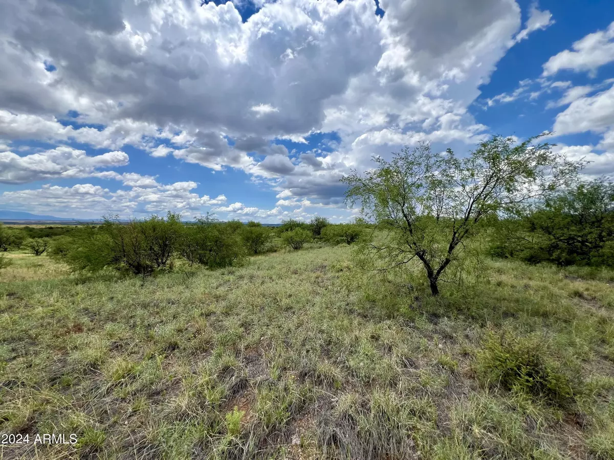 Sonoita, AZ 85637,13796 E Spring Buck Court #7M