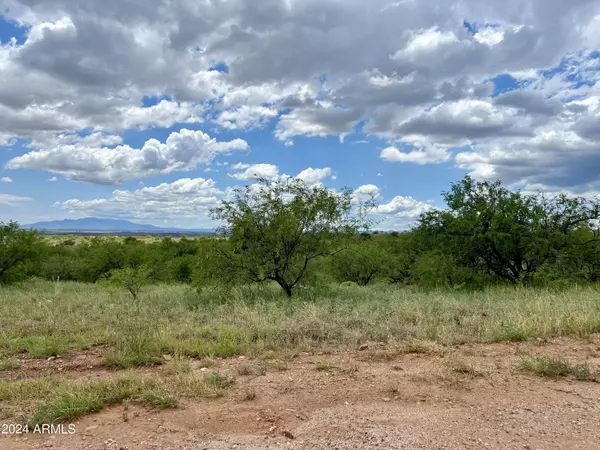 Sonoita, AZ 85637,13796 E Spring Buck Court #7M