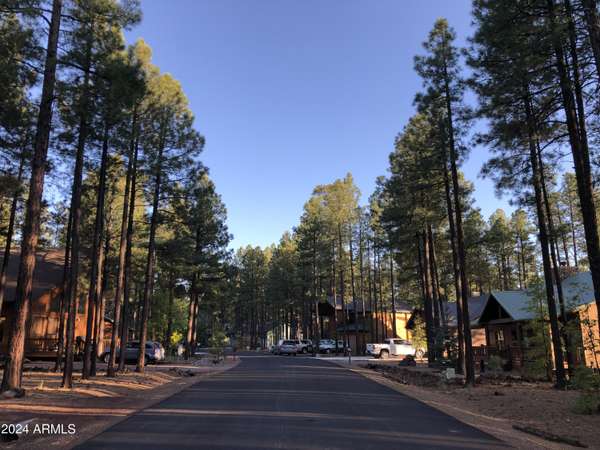 Pinetop, AZ 85935,2504 TIMBER RIDGE Lane #1